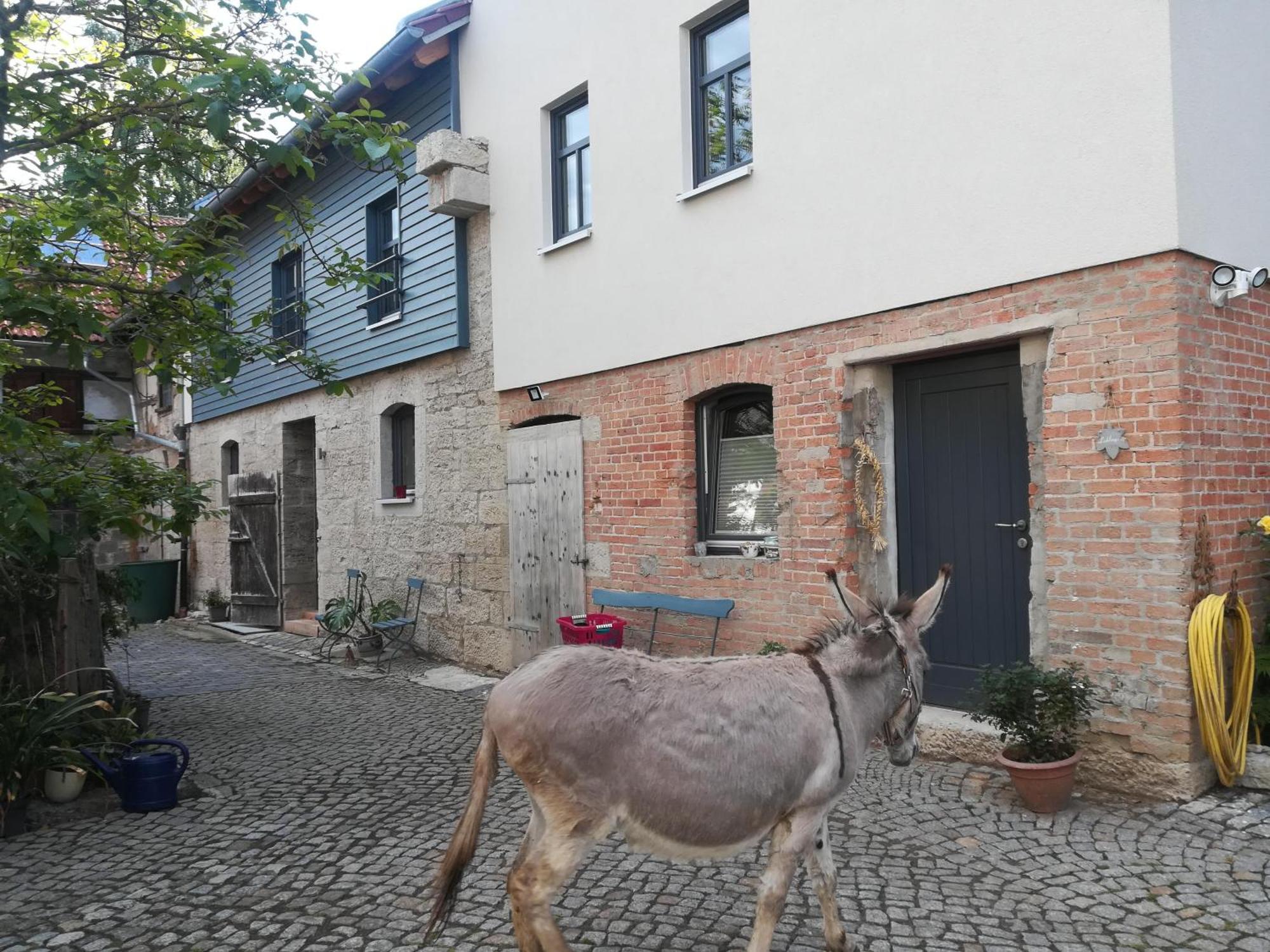 Ferienhof"Waldesel Rippersroda" Exterior photo